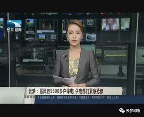 云梦在线爆料新闻直播,最新爆料新闻实时追踪