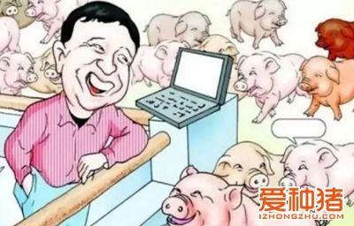 养猪导演大爆料视频,大爆料视频深度解析