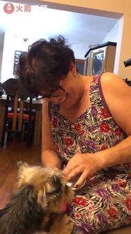 女人解开内裤视频,内裤解开的瞬间，揭秘女性私密生活