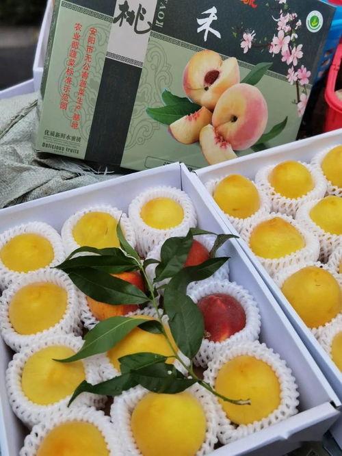 二连三的娱乐吃瓜,揭秘明星幕后故事